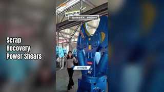 Teyun Excavator Shears การกู้คืนเศษซากให้ผลผลิตสูงสุด